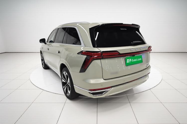 Used Wey Lanshan 2023 Four-Wheel Drive Ultra-Long Range Version Rear Left 45 Deg