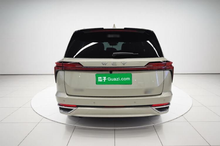 Used Wey Lanshan 2023 Four-Wheel Drive Ultra-Long Range Version Rear