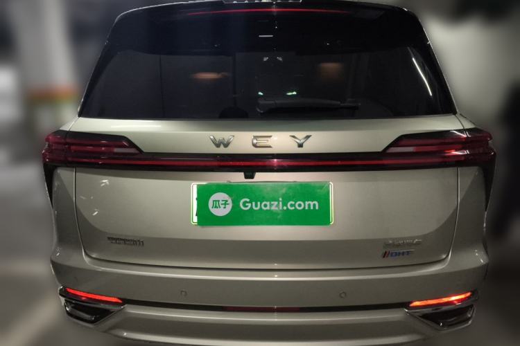 Used Wey Lanshan 2023 Four-Wheel Drive Ultra-Long Range Version Rear