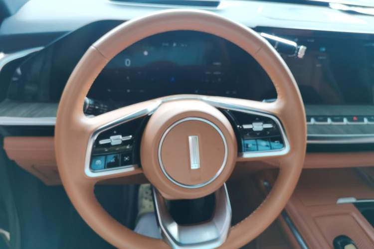 Used Wey Lanshan 2023 Four-Wheel Drive Ultra-Long Range Version Steering Wheel