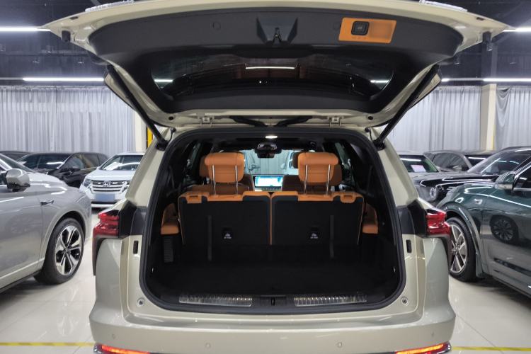 Used Wey Lanshan 2023 Four-Wheel Drive Ultra-Long Range Version Trunk