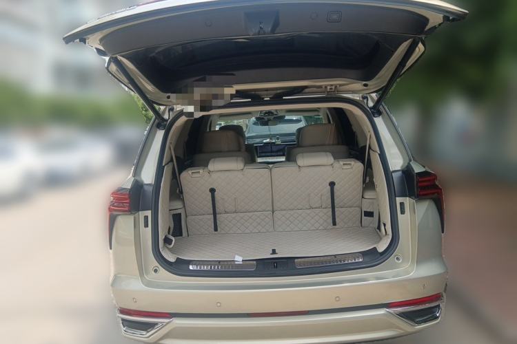 Used Wey Lanshan 2023 Four-Wheel Drive Ultra-Long Range Version Trunk