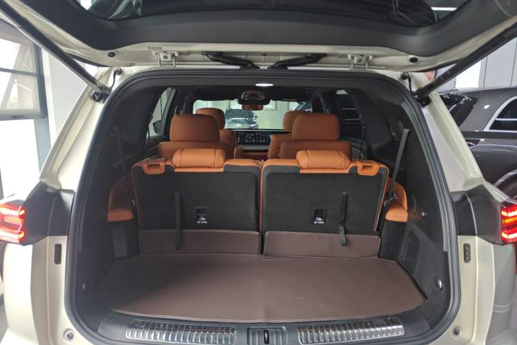 Used Wey Lanshan 2023 Four-Wheel Drive Ultra-Long Range Version Trunk