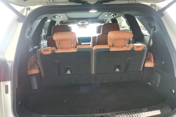Used Wey Lanshan 2023 Four-Wheel Drive Ultra-Long Range Version Trunk