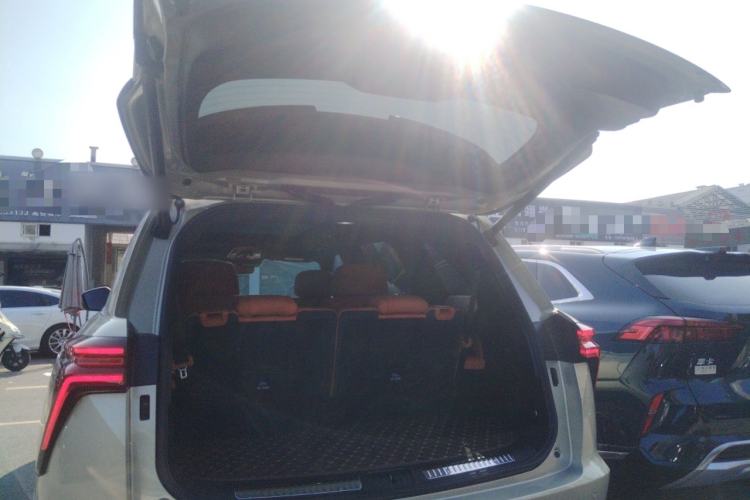 Used Wey Lanshan 2023 Four-Wheel Drive Ultra-Long Range Version Trunk