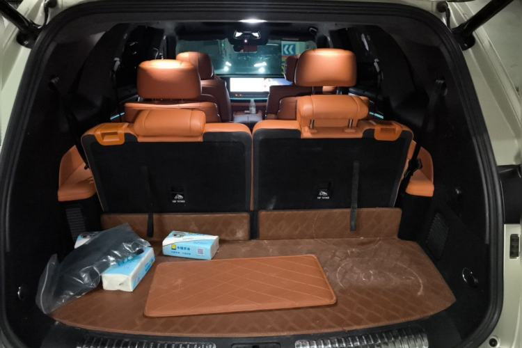 Used Wey Lanshan 2023 Four-Wheel Drive Ultra-Long Range Version Trunk