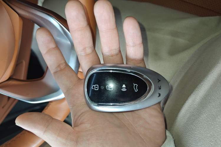 Used Wey Lanshan 2023 Four-Wheel Drive Ultra-Long Range Version Vehicle Key