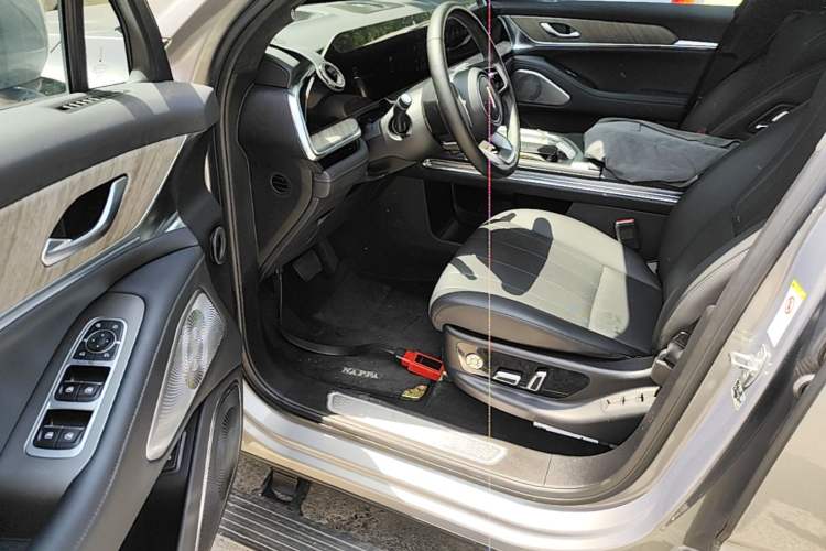 Used Wey Lanshan 2023 Four-Wheel Drive Ultra-Long Range Version Driver Seat