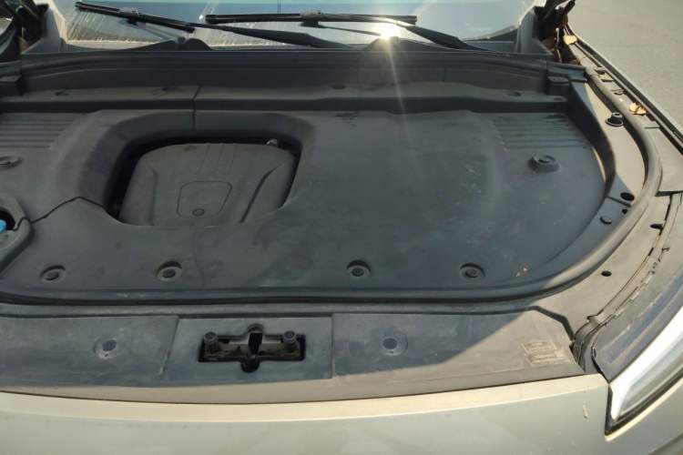 Used Wey Lanshan 2023 Four-Wheel Drive Ultra-Long Range Version Engine Bay Left