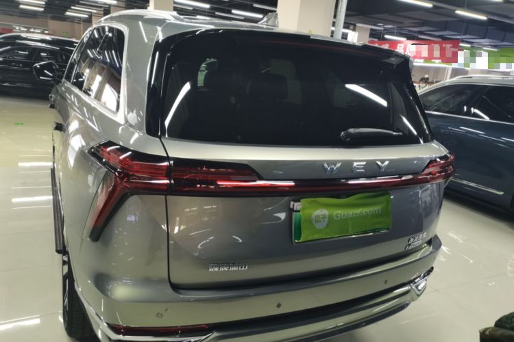 Used Wey Lanshan 2023 Four-Wheel Drive Ultra-Long Range Version Exterior 4