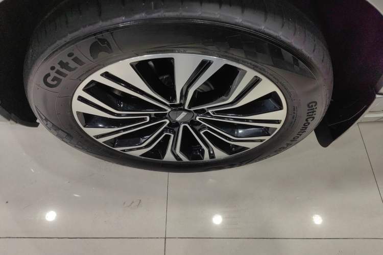Used Wey Lanshan 2023 Four-Wheel Drive Ultra-Long Range Version Exterior 4