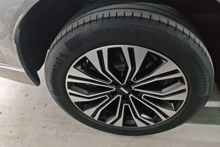 Used Wey Lanshan 2023 Two-Wheel Drive Long-Range Version Exterior 5