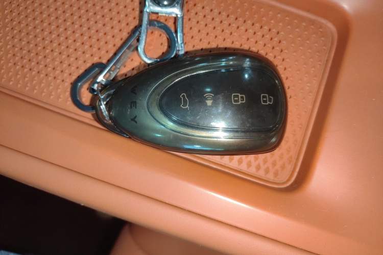 Used Wey Lanshan 2023 Four-Wheel Drive Ultra-Long Range Version Interior 1
