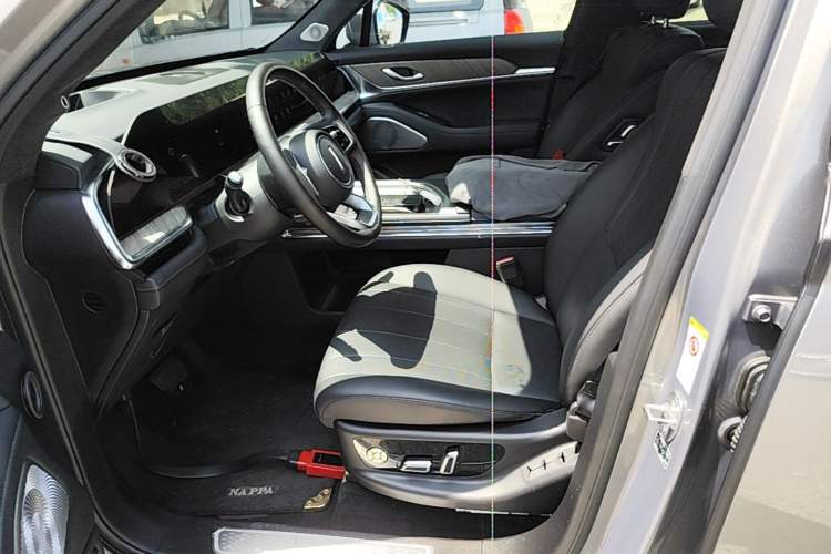 Used Wey Lanshan 2023 Four-Wheel Drive Ultra-Long Range Version Left Front Seat