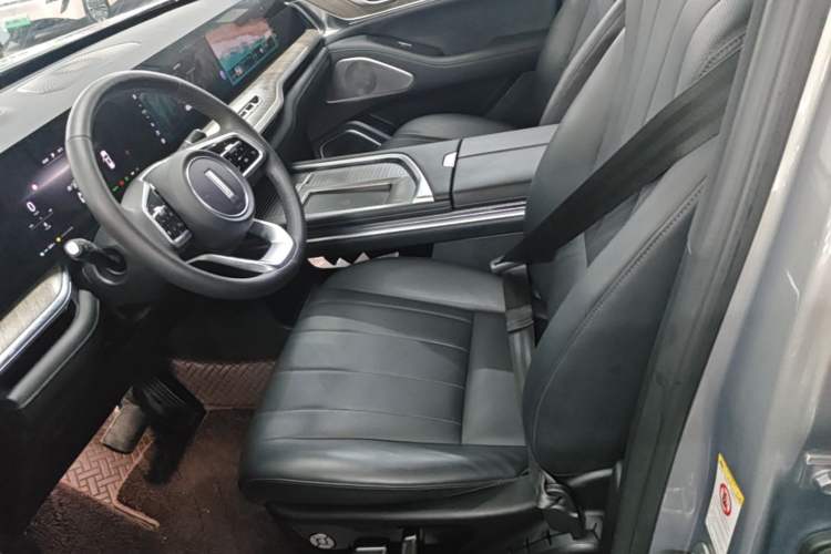 Used Wey Lanshan 2023 Two-Wheel Drive Long-Range Version Left Front Seat