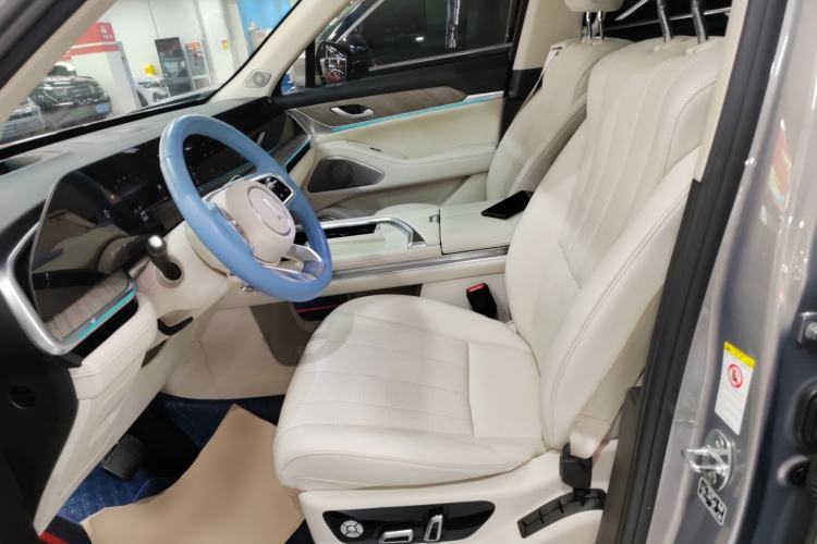 Used Wey Lanshan 2023 Four-Wheel Drive Ultra-Long Range Version Left Front Seat