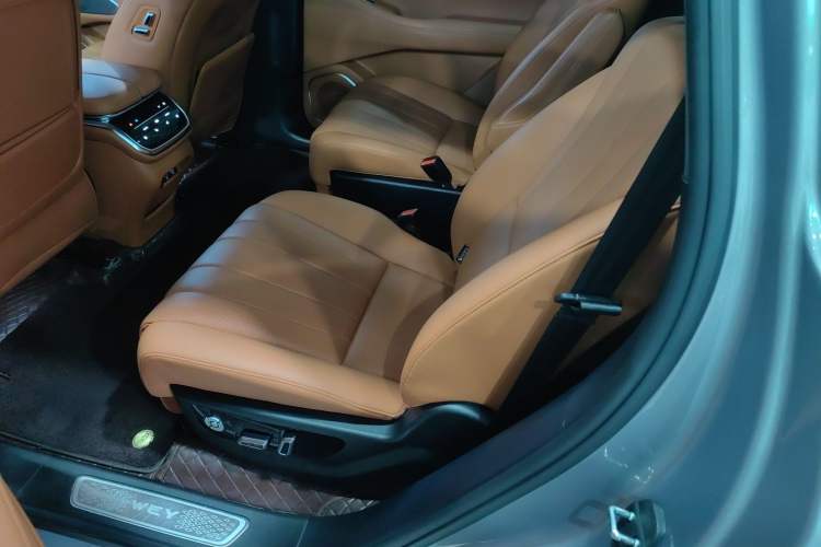 Used Wey Lanshan 2023 Four-Wheel Drive Ultra-Long Range Version Left Rear Seat