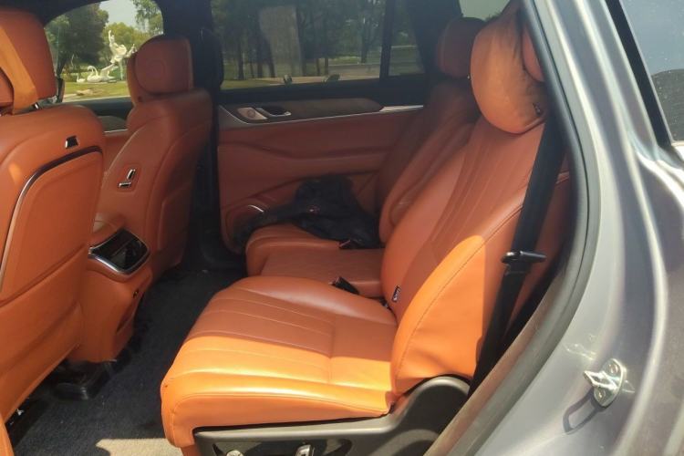 Used Wey Lanshan 2023 Four-Wheel Drive Ultra-Long Range Version Left Rear Seat