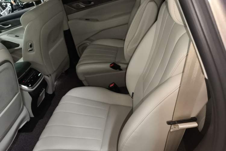 Used Wey Lanshan 2023 Four-Wheel Drive Ultra-Long Range Version Left Rear Seat