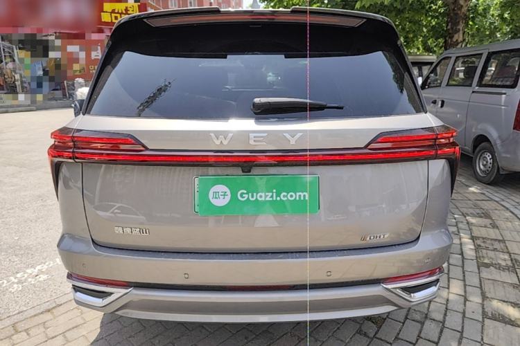 Used Wey Lanshan 2023 Four-Wheel Drive Ultra-Long Range Version Rear