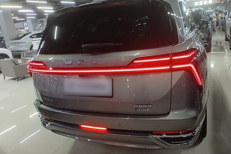 Used Wey Lanshan 2023 Four-Wheel Drive Ultra-Long Range Version Rear
