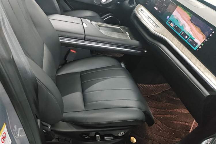 Used Wey Lanshan 2023 Two-Wheel Drive Long-Range Version Right Front Seat