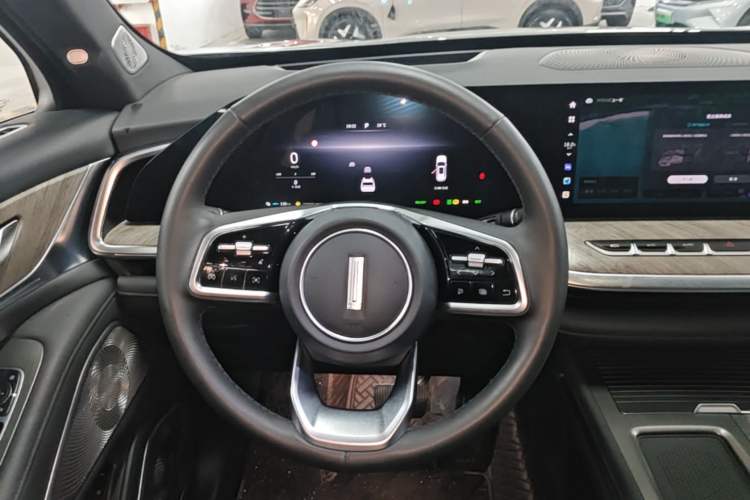 Used Wey Lanshan 2023 Two-Wheel Drive Long-Range Version Steering Wheel