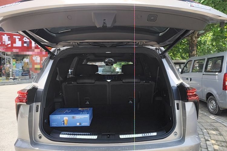 Used Wey Lanshan 2023 Four-Wheel Drive Ultra-Long Range Version Trunk
