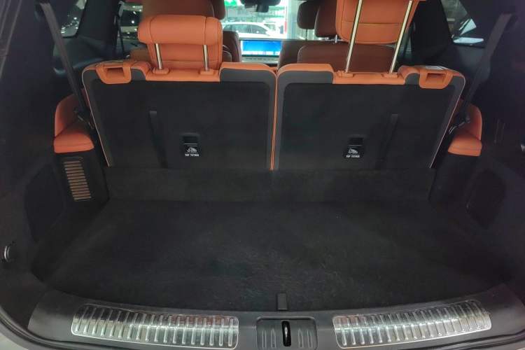 Used Wey Lanshan 2023 Four-Wheel Drive Ultra-Long Range Version Trunk
