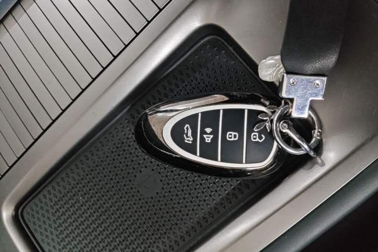 Used Wey Lanshan 2023 Two-Wheel Drive Long-Range Version Vehicle Key