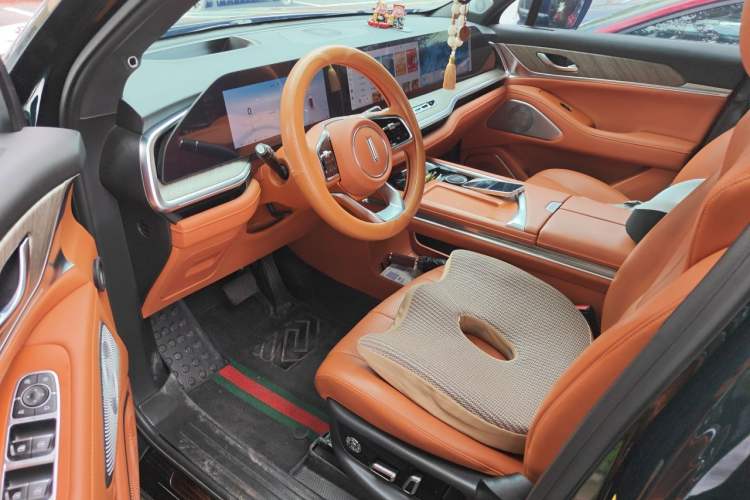 Used Wey Lanshan 2023 Four-Wheel Drive Ultra-Long Range Version Driver Seat
