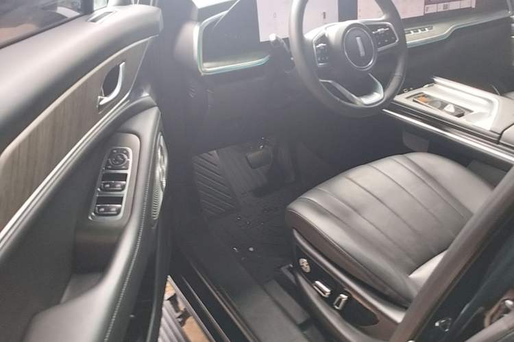Used Wey Lanshan 2023 Four-Wheel Drive Ultra-Long Range Version Driver Seat