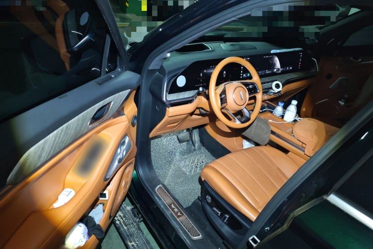 Used Wey Lanshan 2023 Four-Wheel Drive Ultra-Long Range Version Driver Seat