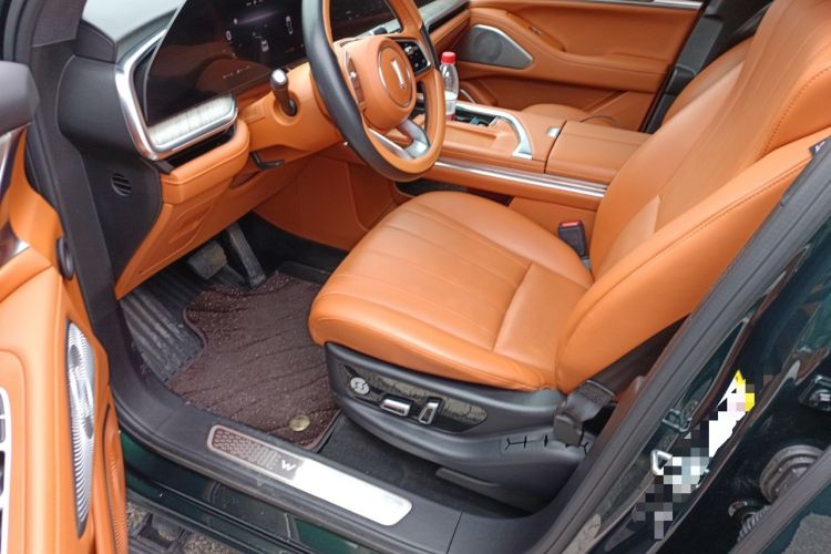 Used Wey Lanshan 2023 Four-Wheel Drive Ultra-Long Range Version Driver Seat