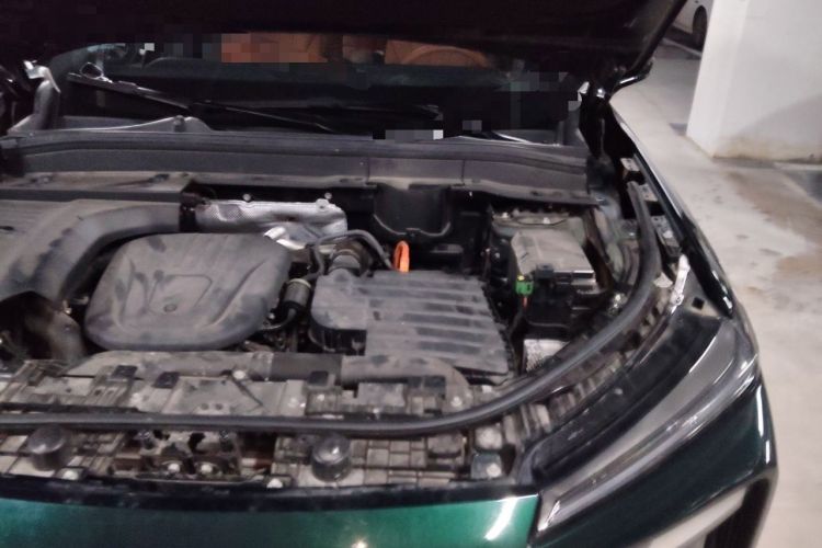 Used Wey Lanshan 2023 Four-Wheel Drive Ultra-Long Range Version Engine Bay Left