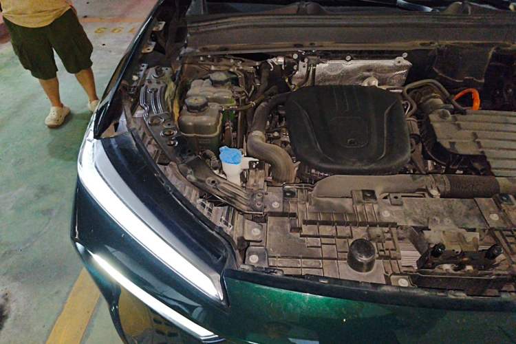 Used Wey Lanshan 2023 Four-Wheel Drive Ultra-Long Range Version Engine Bay Right