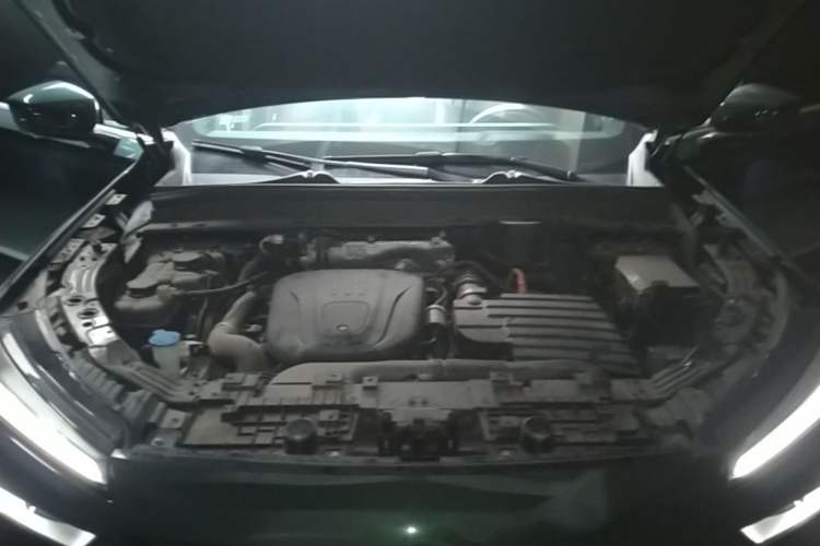 Used Wey Lanshan 2023 Four-Wheel Drive Ultra-Long Range Version Engine Bay