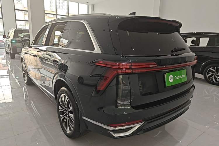 Used Wey Lanshan 2023 Four-Wheel Drive Ultra-Long Range Version Exterior 2