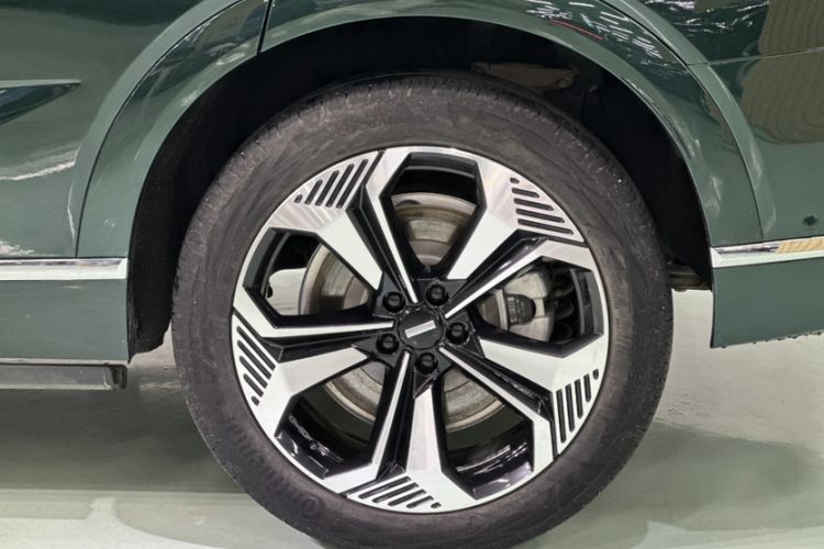 Used Wey Lanshan 2023 Four-Wheel Drive Ultra-Long Range Version Exterior 3
