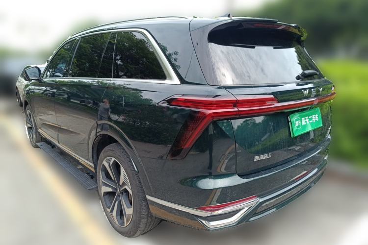 Used Wey Lanshan 2023 Four-Wheel Drive Ultra-Long Range Version Exterior 3