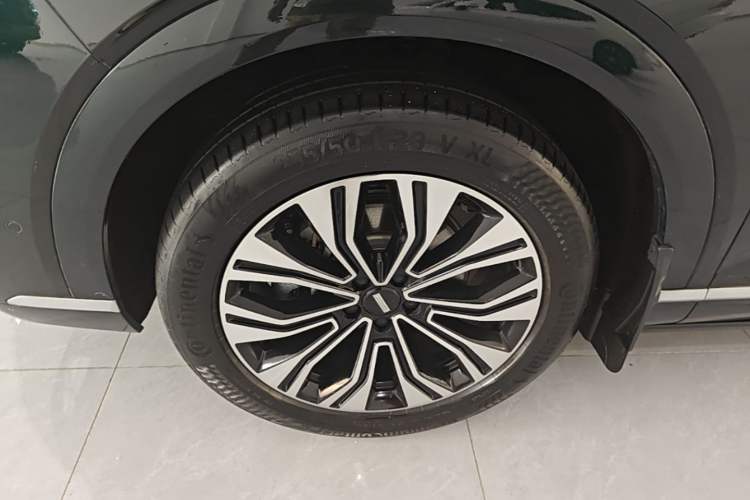 Used Wey Lanshan 2023 Four-Wheel Drive Ultra-Long Range Version Exterior 4