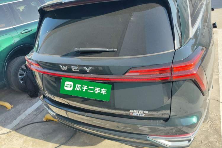Used Wey Lanshan 2023 Two-Wheel Drive Long-Range Version Exterior 4