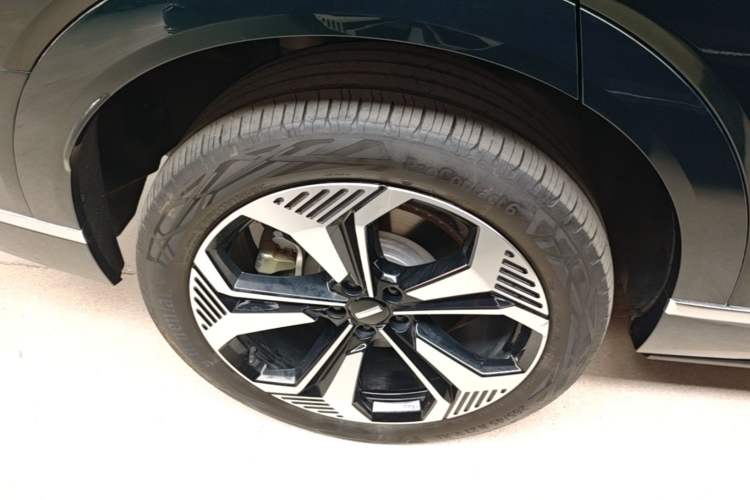 Used Wey Lanshan 2023 Four-Wheel Drive Ultra-Long Range Version Exterior 5