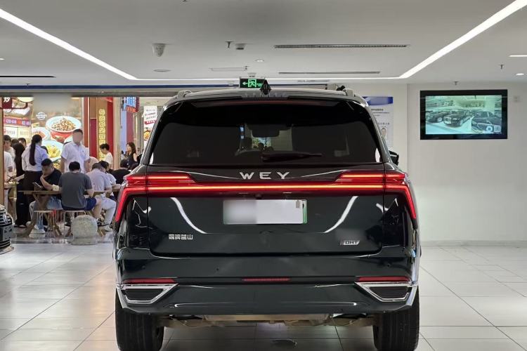 Used Wey Lanshan 2023 Four-Wheel Drive Ultra-Long Range Version Exterior 5