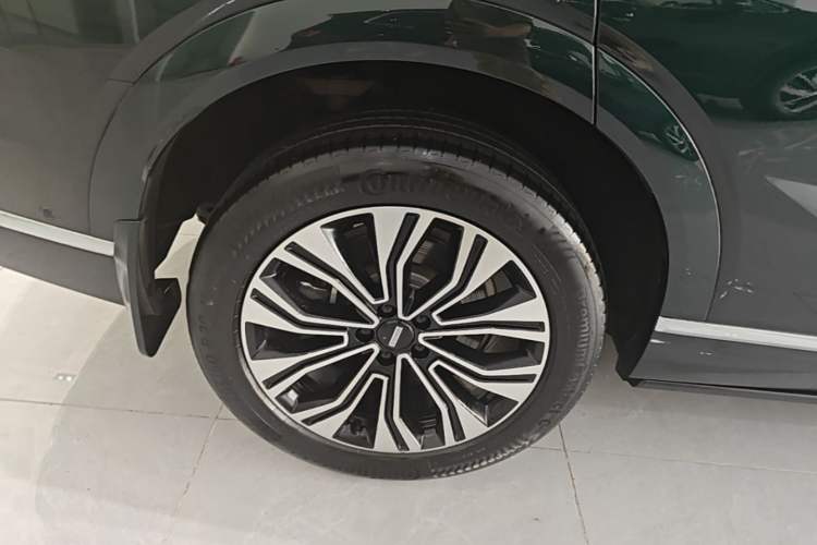 Used Wey Lanshan 2023 Four-Wheel Drive Ultra-Long Range Version Exterior 5
