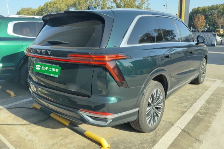 Used Wey Lanshan 2023 Two-Wheel Drive Long-Range Version Exterior 5