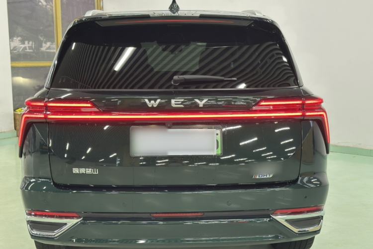 Used Wey Lanshan 2023 Four-Wheel Drive Ultra-Long Range Version Exterior 6