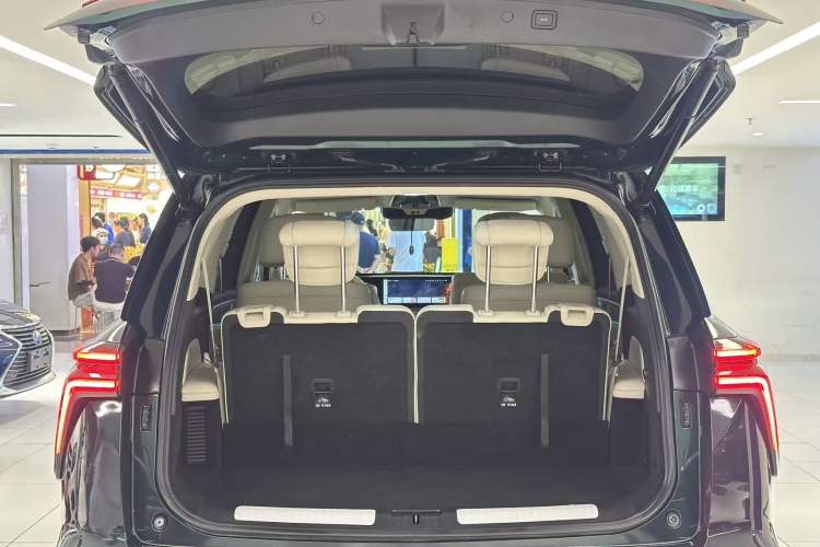 Used Wey Lanshan 2023 Four-Wheel Drive Ultra-Long Range Version Exterior 7