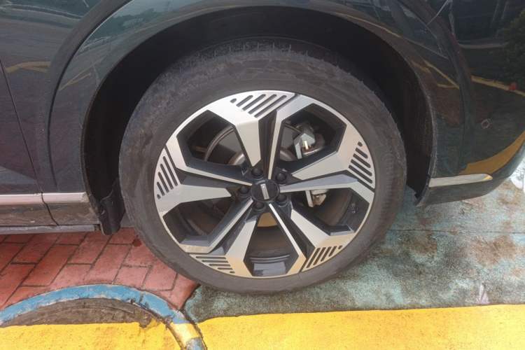 Used Wey Lanshan 2023 Four-Wheel Drive Ultra-Long Range Version Exterior 7