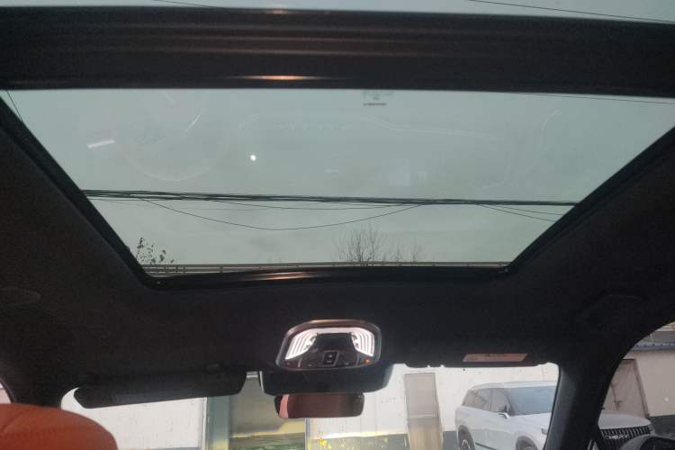 Used Wey Lanshan 2023 Four-Wheel Drive Ultra-Long Range Version Headliner